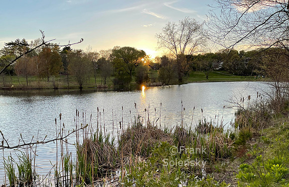 Little Fresh Pond Cambridge