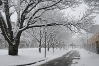 Snow on Meacham Rd