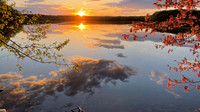 Fresh Pond Cambridge (2)