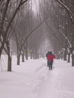 Seven Hills Park / Winter