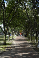 Seven Hills Park / Summer