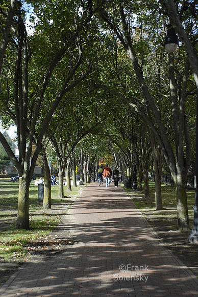 Seven Hills Park / Summer