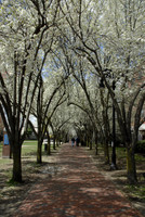 Seven Hills Park / Spring