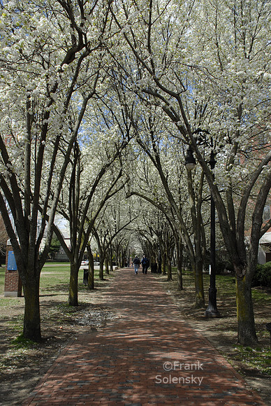 Seven Hills Park / Spring