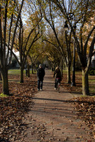 Seven Hills Park / Autumn