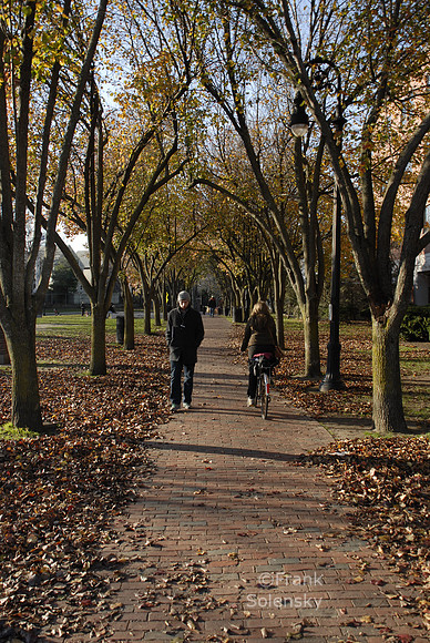 Seven Hills Park / Autumn