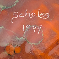 Scholes dish (3/3)