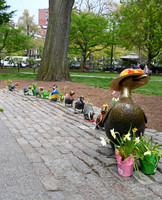 Make Way for Ducklings!