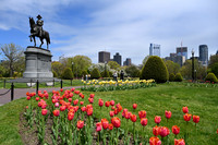 Public Garden
