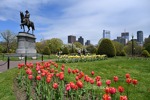 Public Garden